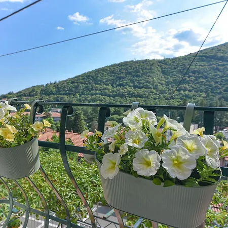 Gregov * Mošćenička Draga